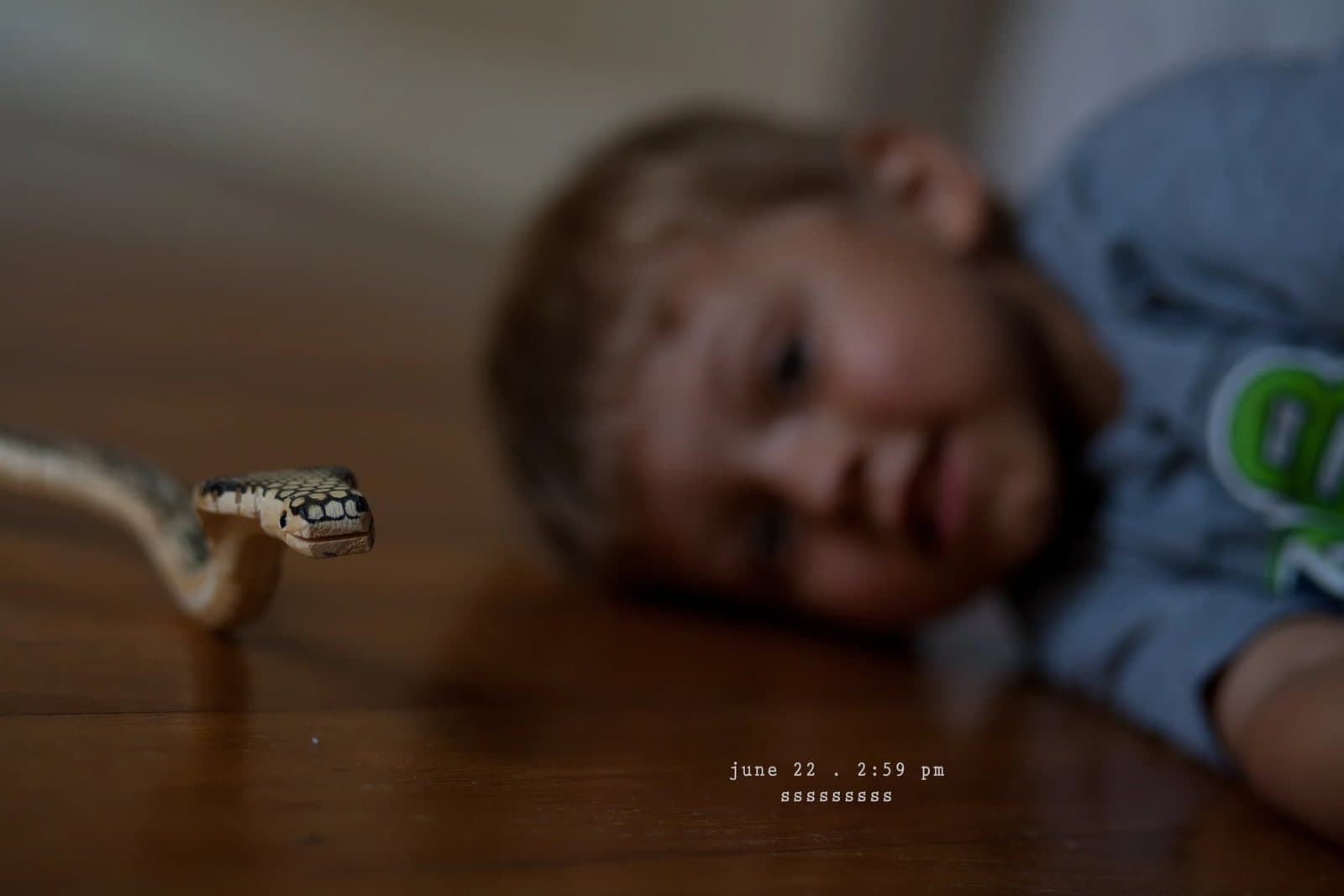 A small snake on a wood floor with a toddler blurred behind it.