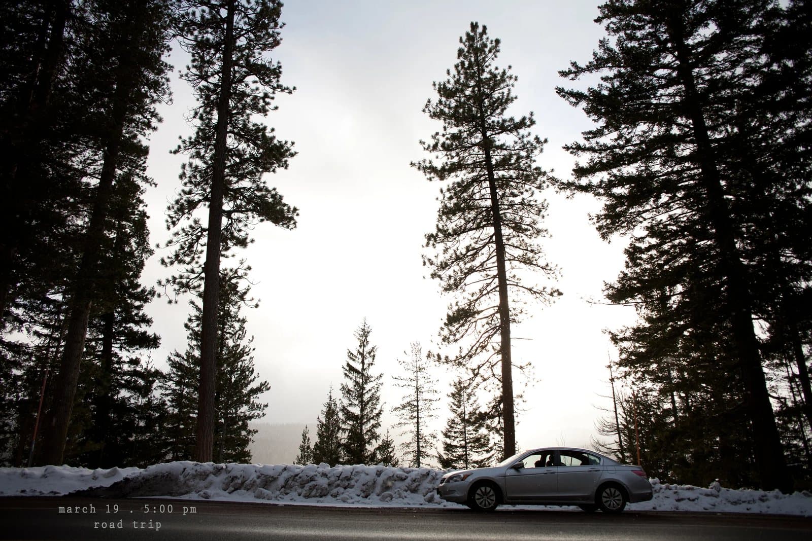 A silver car on a snowy road beneath towering pines, captioned road trip.