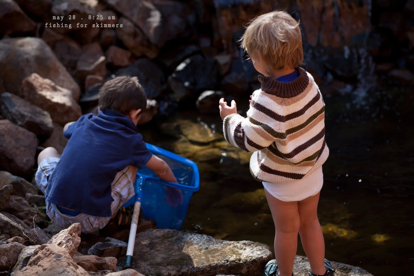 Two toddlers with a blue net at a rocky pond, captioned fishing for skimmers.