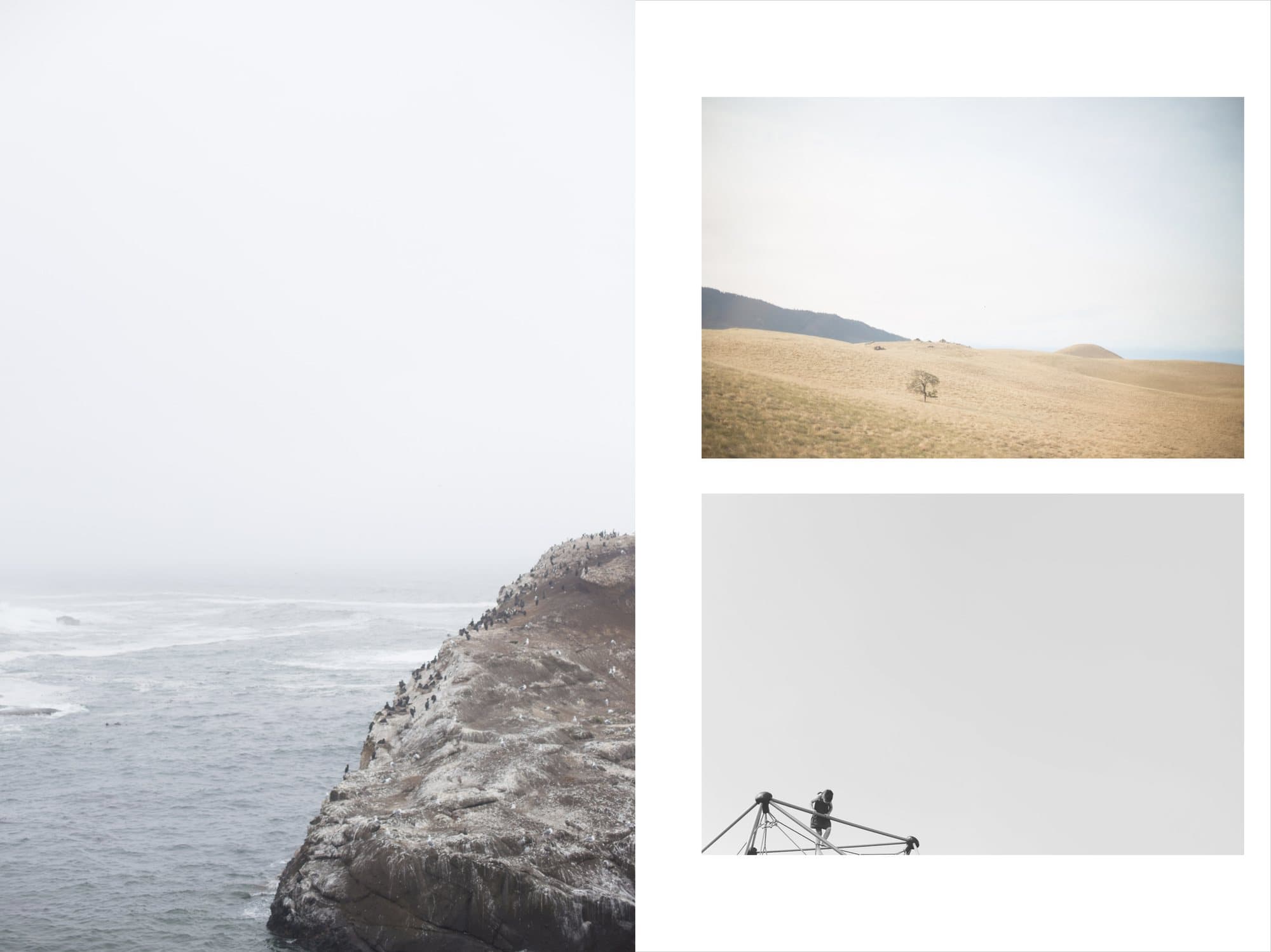 Branding guide spread of sample photography: a foggy rocky coast, golden hills, and a child atop a jungle gym.