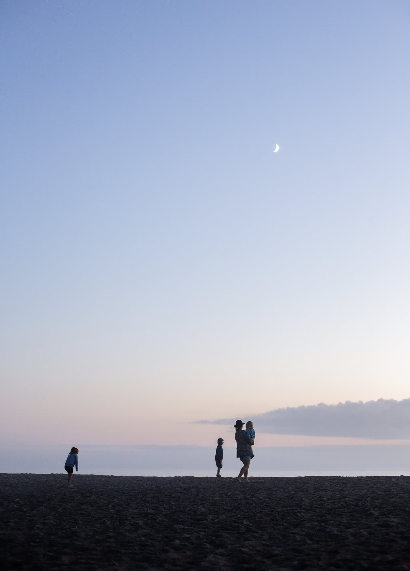 Photo handout of a family silhouetted on a beach at dusk beneath a crescent moon.
